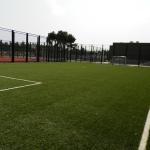 Stadium and Grandstand