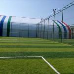 Stadium and Grandstand